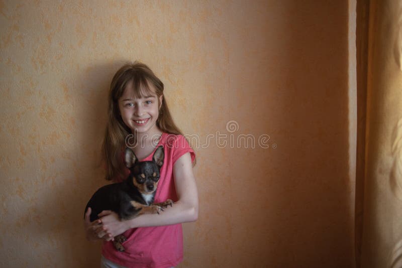Kindermeisje speelt met een kleine hond zwarte harige chihuahua doggy