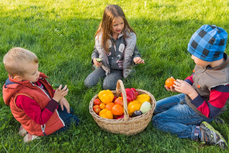 Kinderspiel Im Garten Auf Dem Gras Stockbild Bild von kinder, frech