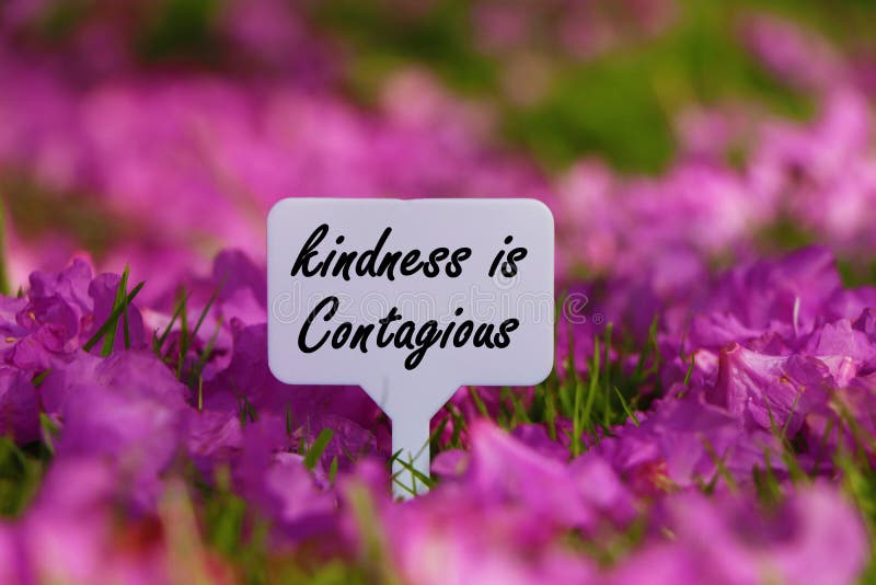 Kindness is contagious quote. stock images