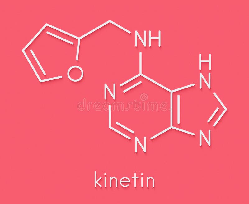 furfuryladenine kinetin anti aging