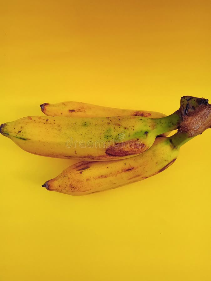 King bananas stock photo. Image of plant, king, fruit 244784394
