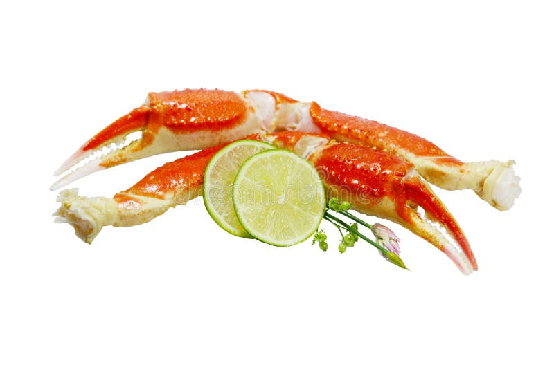 King Crab Legs Stock Photo Image Of Dish Life Lime 26083680 king-crab-legs-stock-photo-image-of-dish-life-lime-26083680