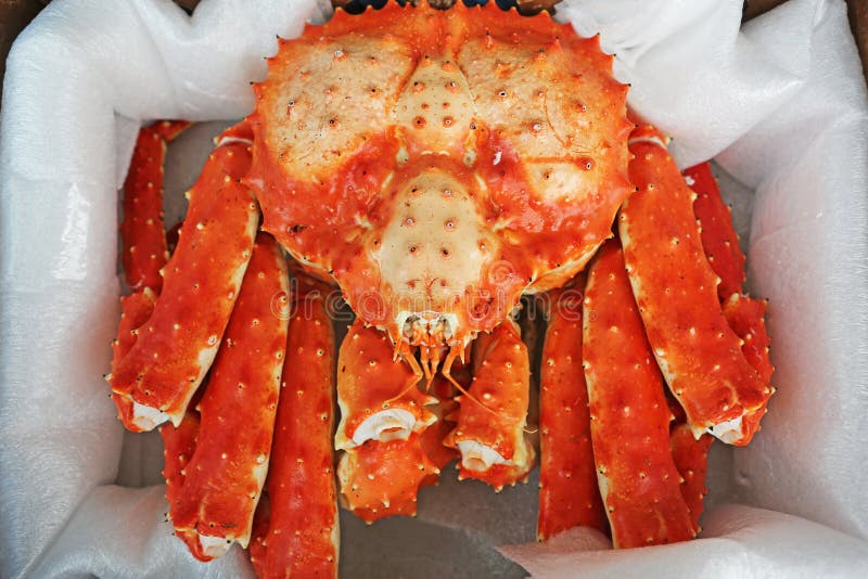 A king crab