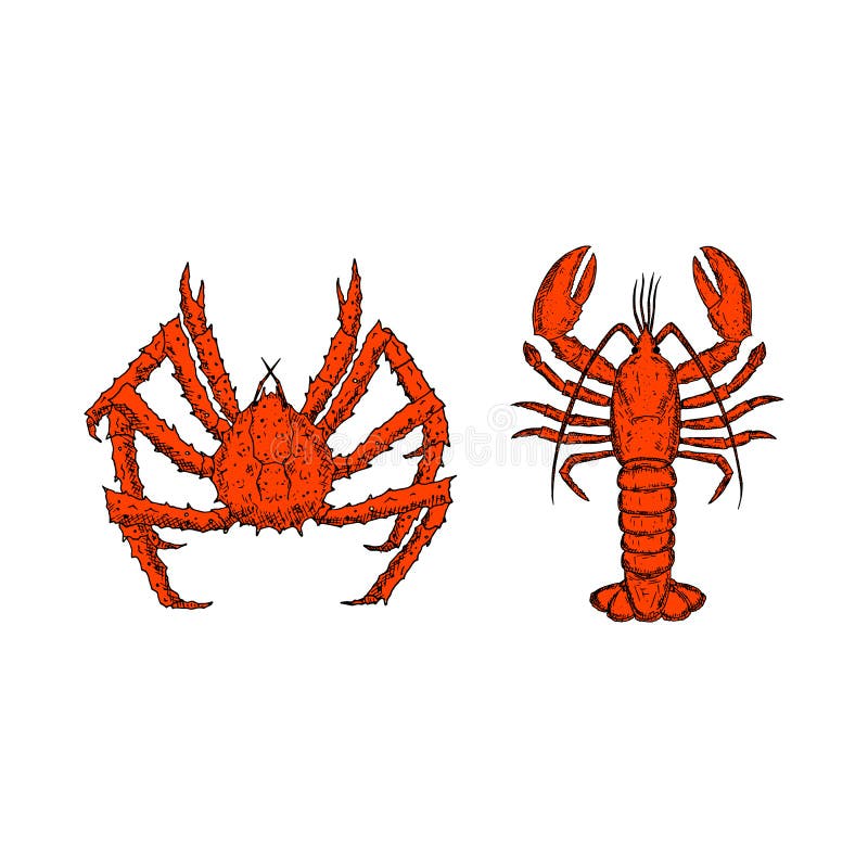 Download Crab Hand Drawn Vector Illustration. Cartoon Style ...