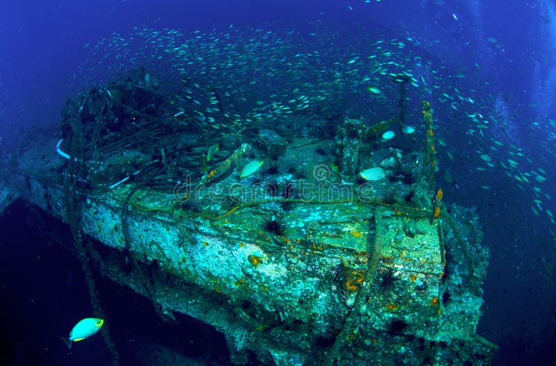 King Cruiser Wreck