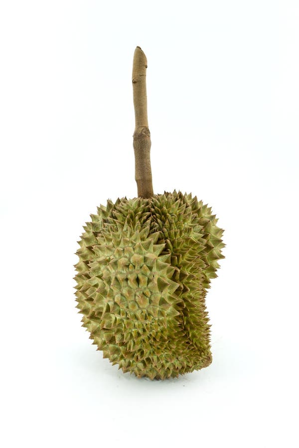 King of fruits stock photo. Image of ripe, asian, full 24681650