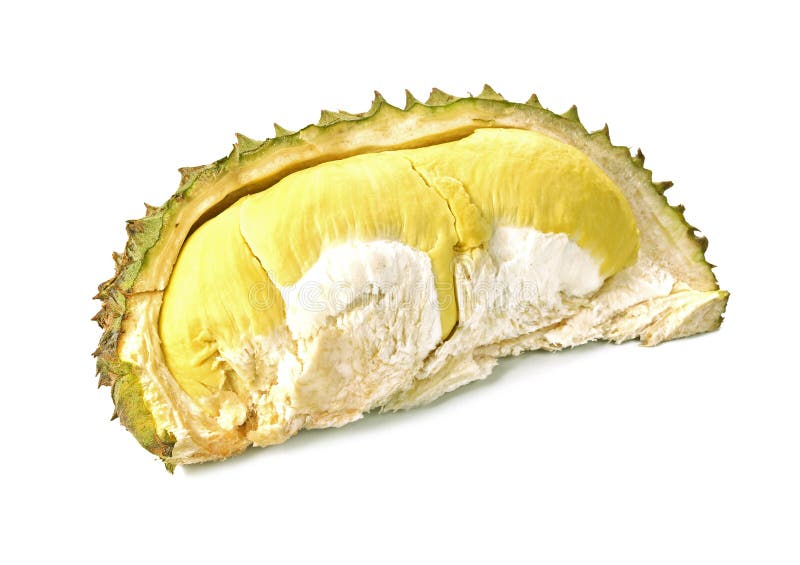 King of fruits, durian isolated on white background stock images