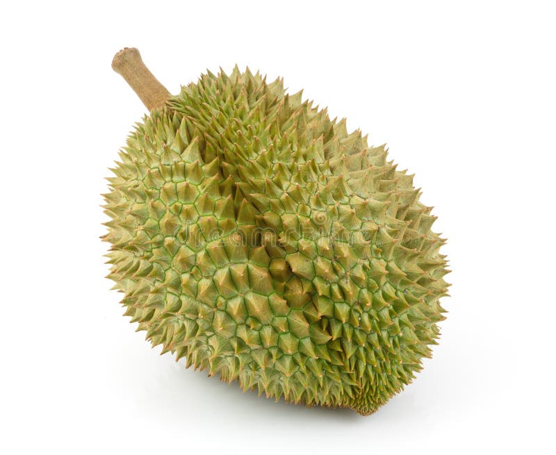 King of fruits, durian isolated on white background stock photos