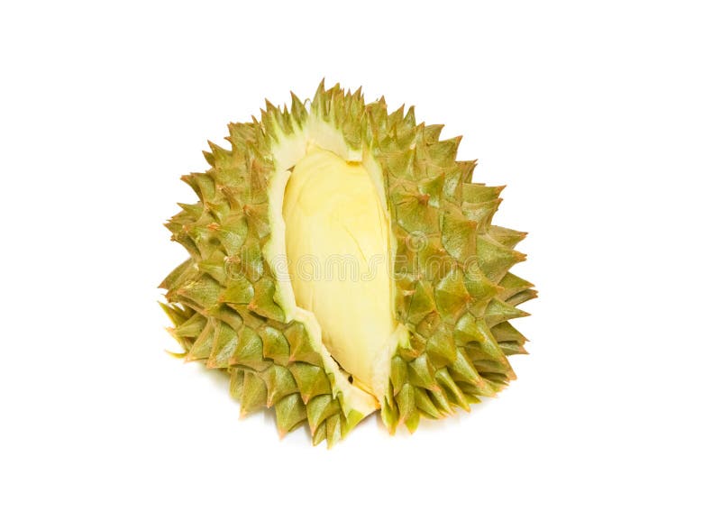 King of fruits, durian isolated on white background royalty free stock photos