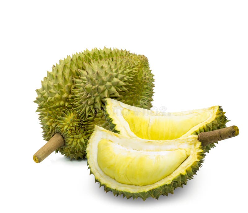 King of fruits, durian isolated on white background royalty free stock photos