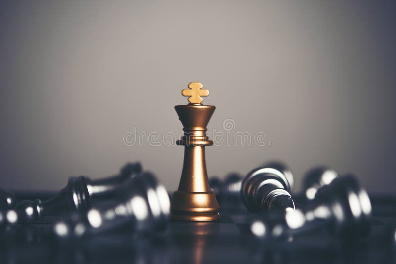 King and Knight of chess setup on dark background . Leader and t