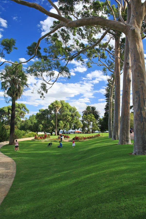 King S Park,Perth,Western Australia Editorial Image Image of