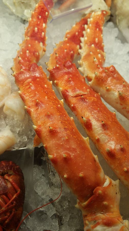 King Snow Crab Legs royalty free stock photos King Snow Crab Legs royalty free stock photos