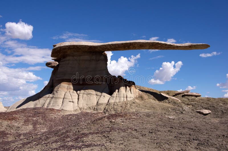 King of Wings, New Mexico, USA Stock Photo Image of wild, landscape