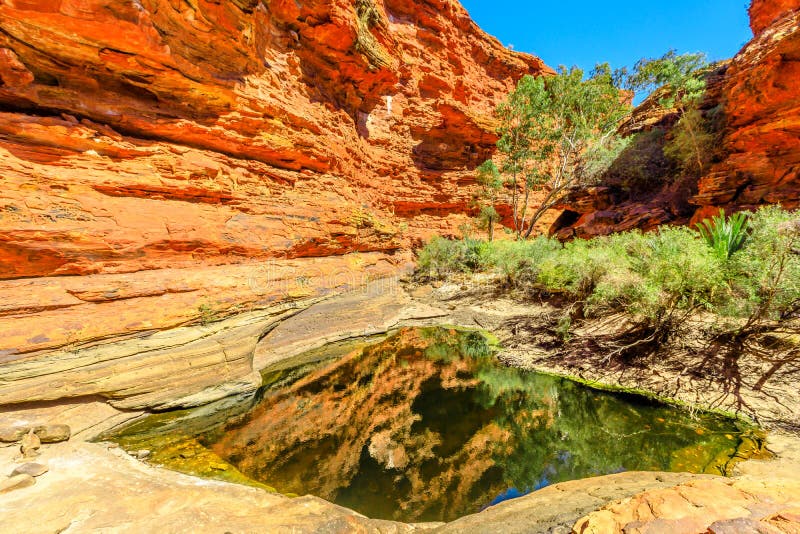 Kings Canyon Waterhole Australia Stock Image - Image of travel ...