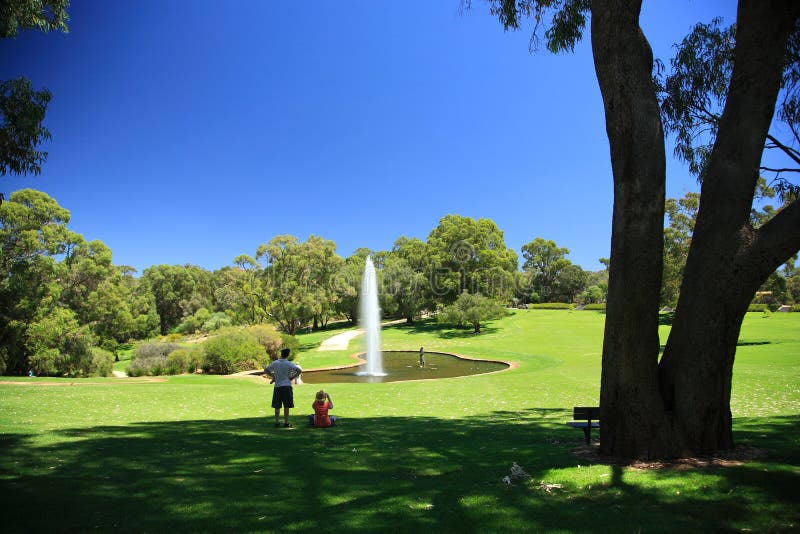 Kings Park, Perth, Western Australia Stock Photo Image of parklands, architecture 26247454