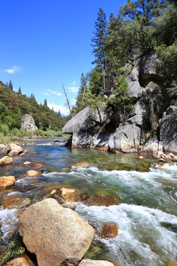 Kings River stock photo. Image of water, kings, forest 73987946