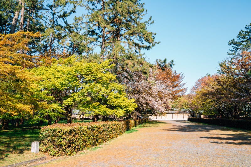 Kioto Gyoen National Garden im Frühjahr in Japan lizenzfreie stockfotos Kioto Gyoen National Garden im Frühjahr in Japan lizenzfreie stockfotos