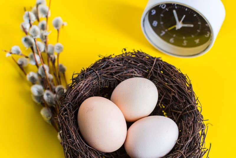 Kippeneieren in een nest met een wilgentakje en een wekker op een gele achtergrond royalty-vrije stock afbeelding Kippeneieren in een nest met een wilgentakje en een wekker op een gele achtergrond royalty-vrije stock afbeelding