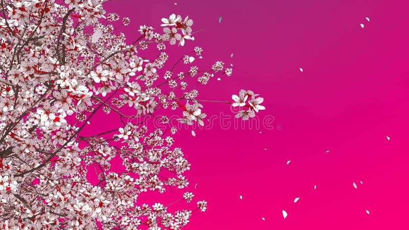 Kirschbaumblüte 3D Kirschblüte und fallende Blumenblätter