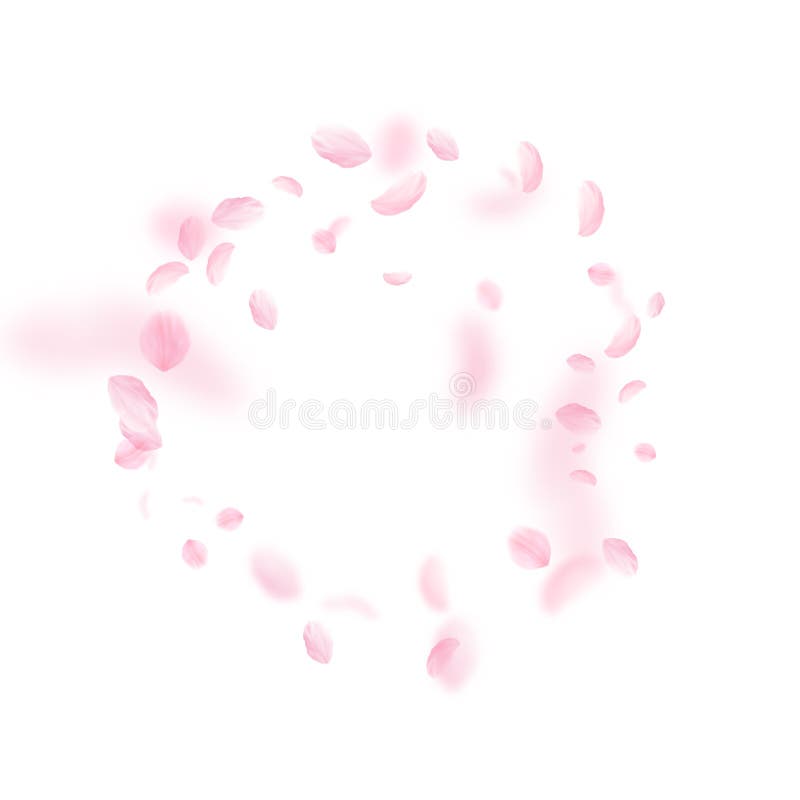 Kirschblüte-Blumenblätter, die unten fallen Romantischer rosa Blumenrahmen Fliegenblumenblätter auf Hintergrund des weißen Quadra vektor abbildung Kirschblüte-Blumenblätter, die unten fallen Romantischer rosa Blumenrahmen Fliegenblumenblätter auf Hintergrund des weißen Quadra vektor abbildung