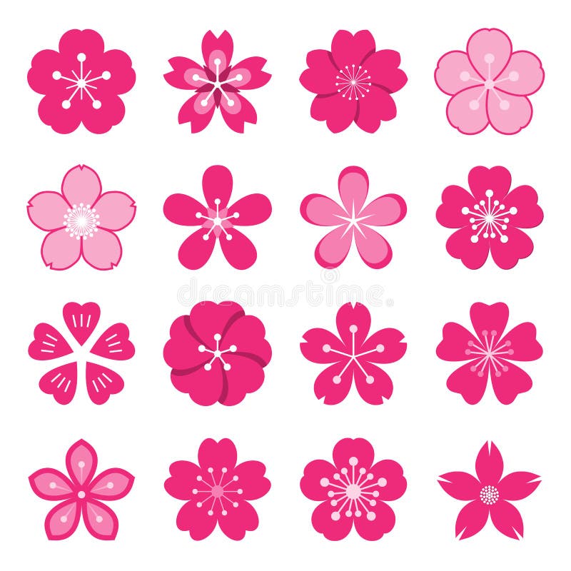 Kirschblüte-Ikonen lokalisiert auf einem weißen Hintergrund