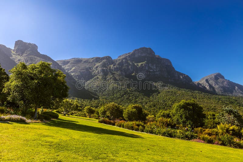 Kirstenbosch, Cape Town