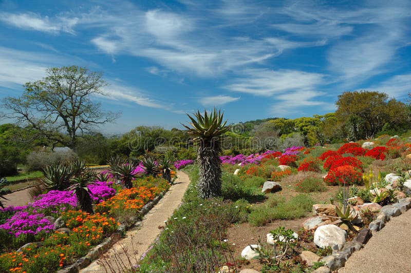 Nationaler Garten Von AthenStadt, Griechenland Stockbild