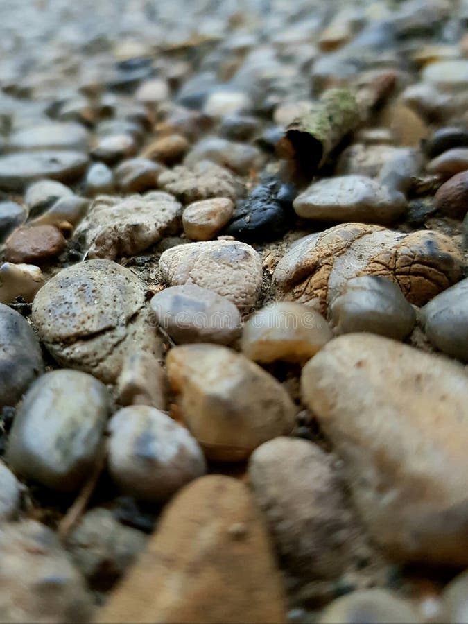 Kiselstenbakgrund med naturligt stenar textur arkivfoto Kiselstenbakgrund med naturligt stenar textur arkivfoto