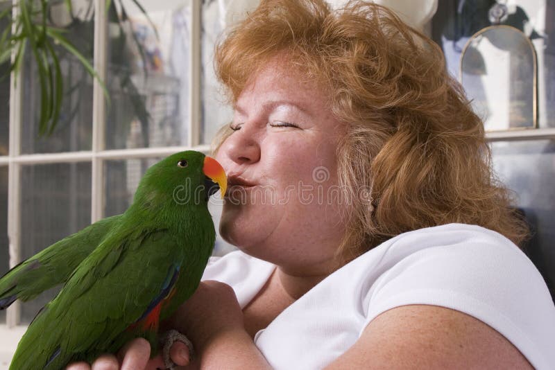 1 487 Kissing Bird Photos Free Royalty Free Stock Photos From Dreamstime 1 487 Kissing Bird Photos Free Royalty Free Stock Photos From Dreamstime