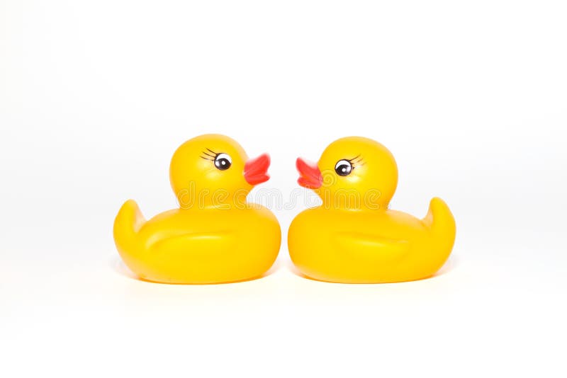 Kissing ducks royalty free stock photography