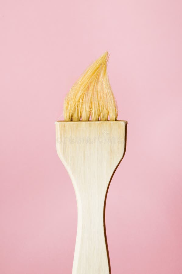 Kitchen brush