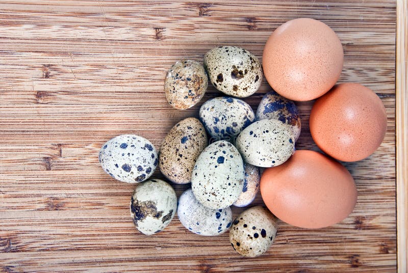 Kitchen eggs stock image. Image of diet, light, shell 25403897