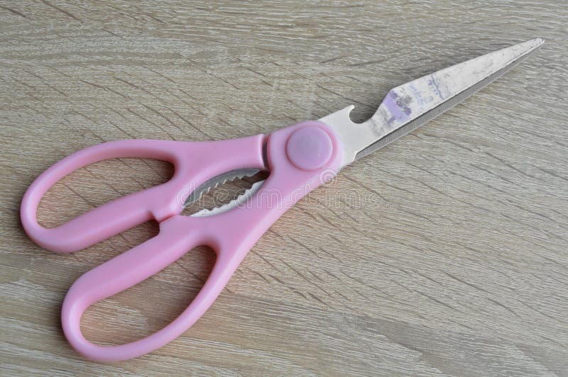 Kitchen Equipment Scissors, Pink Handle Scissors Designed for the Kitchen Stock Image Image of