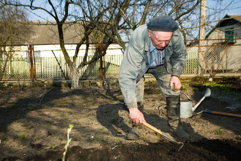 In kitchen garden