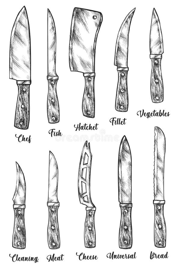 Fillet Knife Stock Illustrations – 2,751 Fillet Knife Stock Illustrations,  Vectors & Clipart - Dreamstime