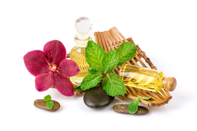 Kitchen Mint or Marsh Mint Green Leaves Isolated on White Background