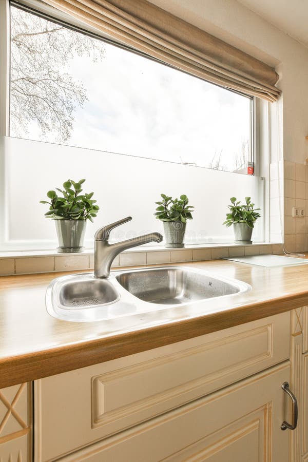 A Kitchen Sink and Window with Plants on the Sill Stock Photo Image