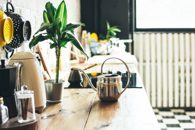 Kitchen work surface, the interior elements, Scandinavian rustic eco design with green plant