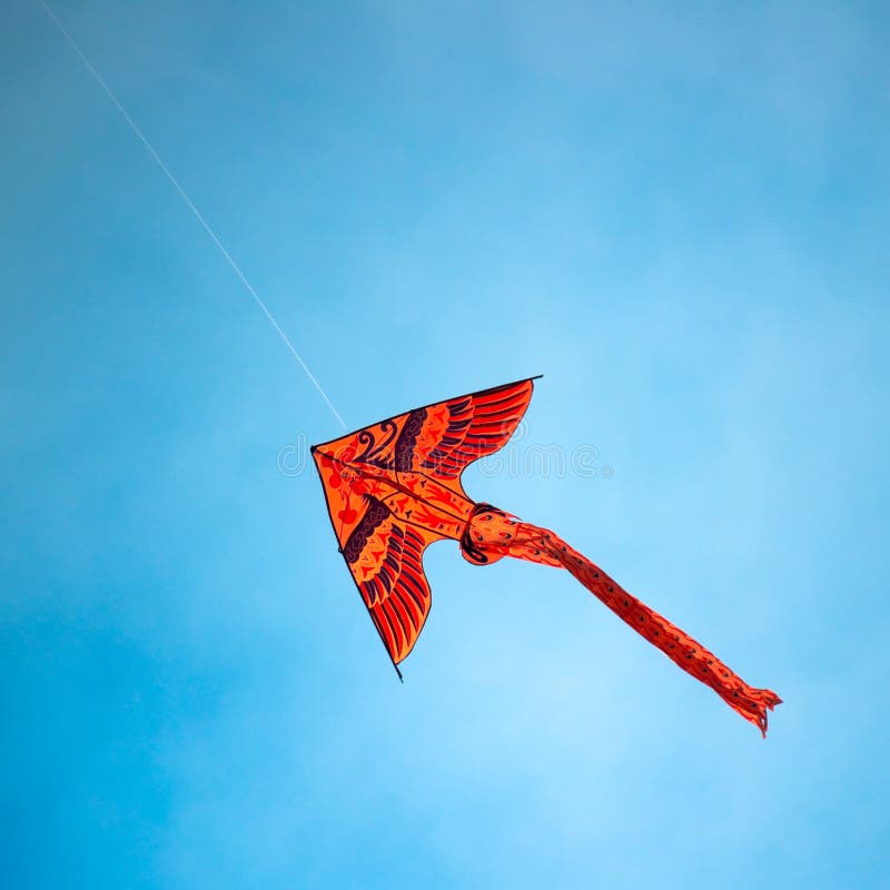 Kite royalty free stock photo