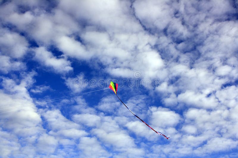 Kite in a cloudy blue sky