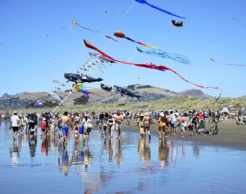 Kite day på en ny brighton-strand. royaltyfri bild
