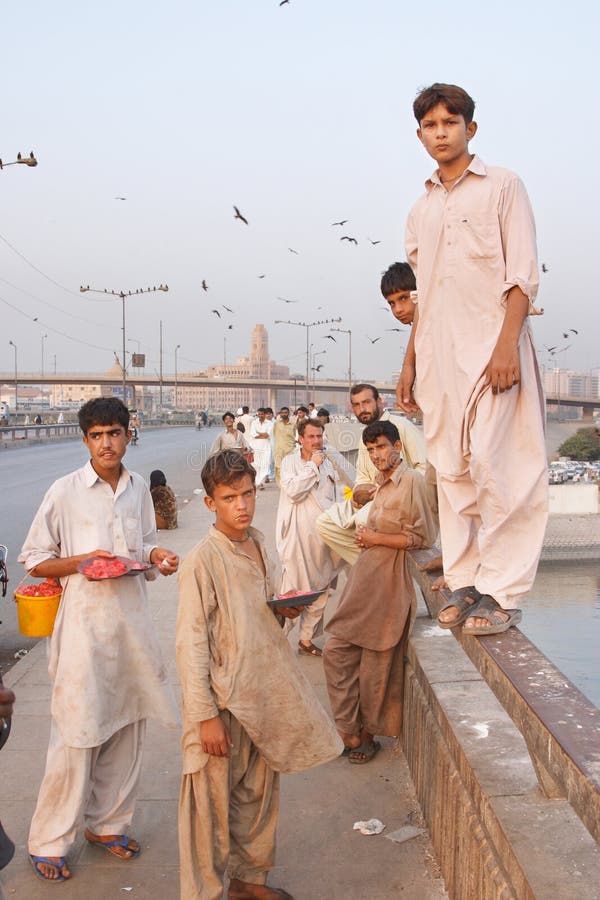 Kite feeding, Karachi, Pakistan royalty free stock images
