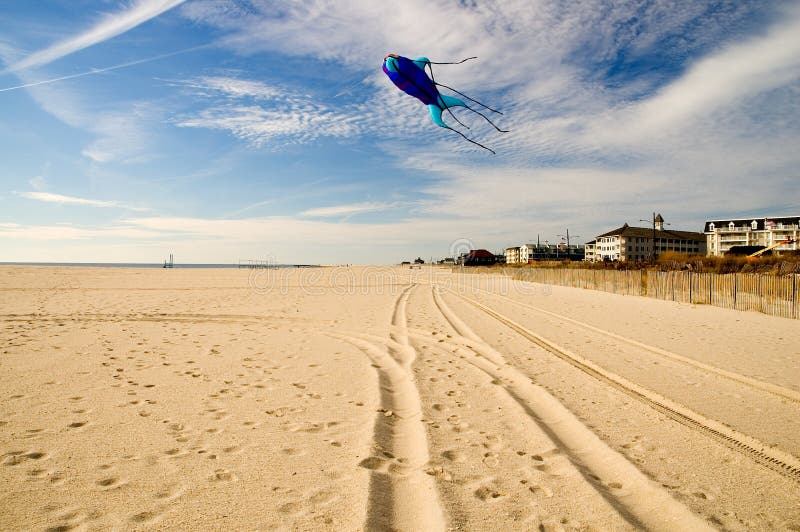 Kite Flying on the Beach-1