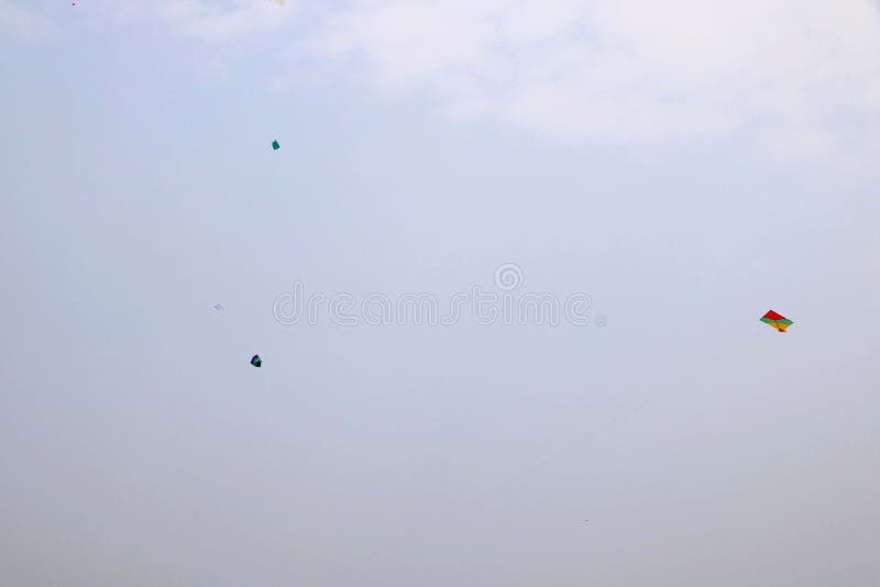 Kite Flying in Blue Sky on Kite Flying Day Stock Photo Image of