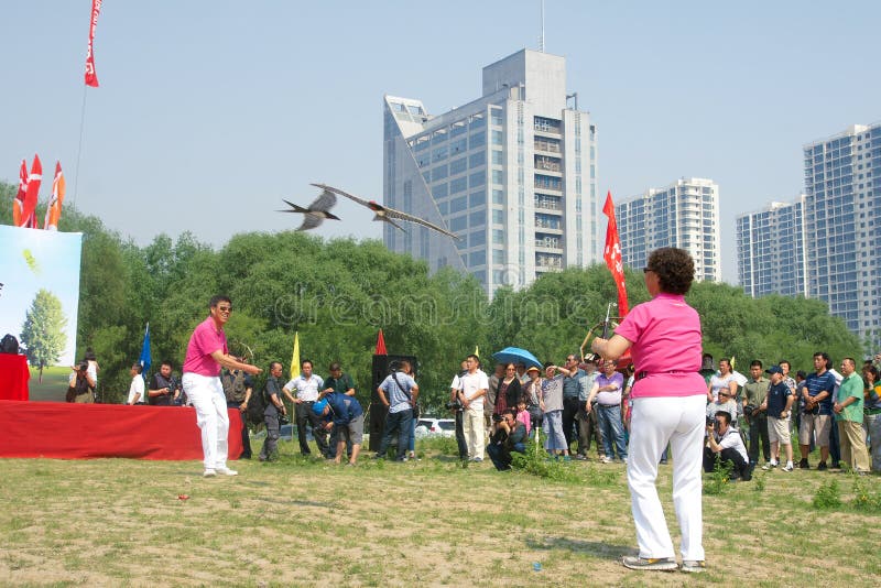 Kite game editorial photo. Image of shanxi, ground, china 24853876