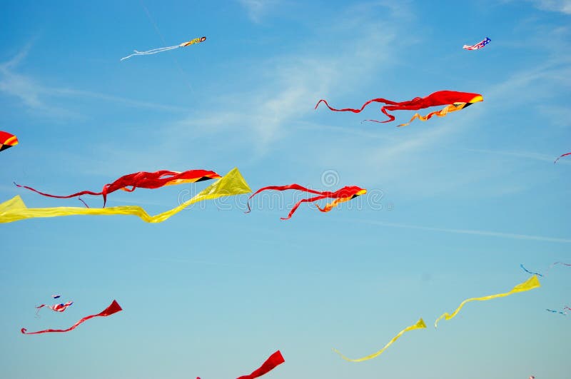 Kites high in the ocean breeze colorfully decorating the sky