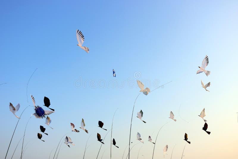 kites immagine stock kites immagine stock