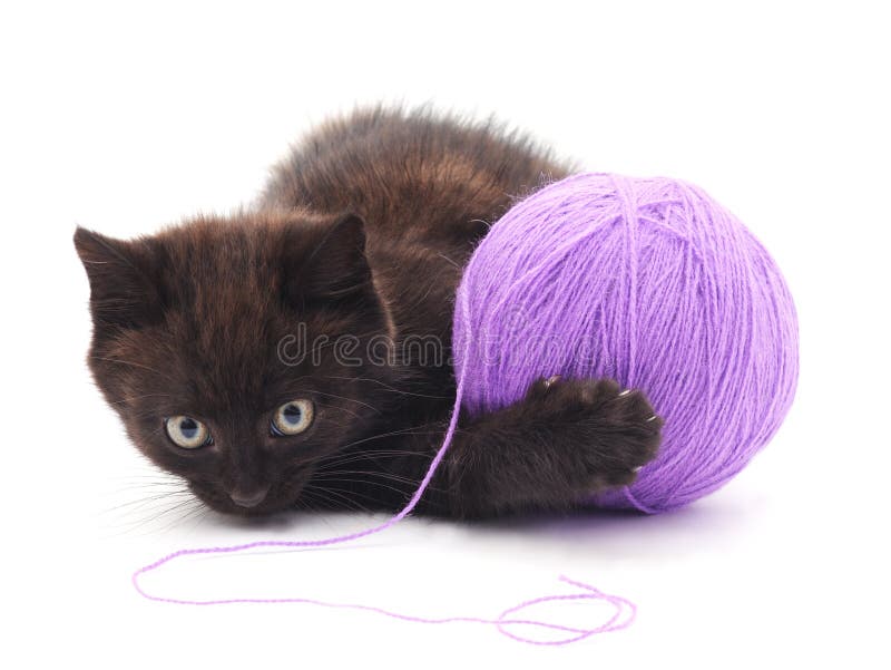 Kitten with ball of yarn. stock photo. Image of ball 97884600