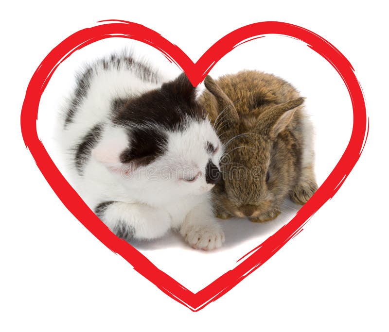 Kitten and bunny in heart